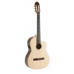 GEWA Guitare électroacoustique classique Pro Natura Silver Samba