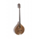 GEWA Bouzouki irlandais Pro Arte Antique