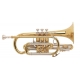 VINCENT BACH Cornet Sib 184 Stradivarius