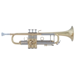VINCENT BACH Trompette Sib AB190 Artisan