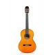 CORDOBA Luthier C9 Parlor CD