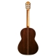 CORDOBA Luthier C10, Parlor CD