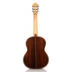 CORDOBA Luthier C10, Crossover SP