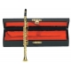 GEWA Instrument miniature