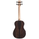 CORDOBA MINI II Bass EB-E