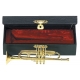 GEWA Instrument miniature