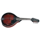 PURE GEWA Mandoline folk A-1E