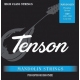 PURE GEWA Cordes Mandoline Tenson Phosphor Bronze
