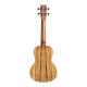 CORDOBA Ukulele 28C