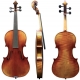 GEWA Violon Maestro 51