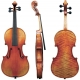 GEWA Violon Maestro 56