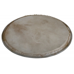 LATIN PERCUSSION Peau de Percussion Plenera