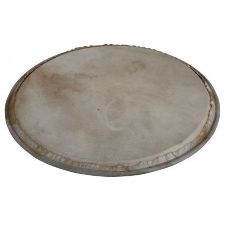 LATIN PERCUSSION Peau de Percussion Plenera