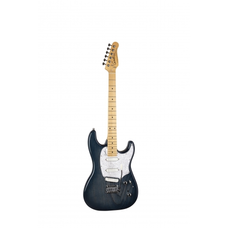 Passion RG-3 Indigo Burst MN avec housse