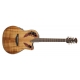 OVATION Guitare élect.acoustique Celebrity Elite Plus Mid Cutaway