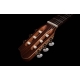 GODIN NYLON Arena CW QIT