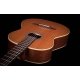 GODIN NYLON Concert