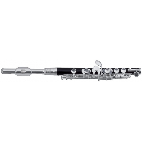 PURE GEWA Flûte Piccolo Roy Benson PC-502