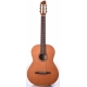 GODIN NYLON Concert Left