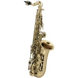 PURE GEWA Saxophone Alto Mib pour Enfants Roy Benson AS-201