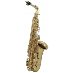 PURE GEWA Saxophone Alto Mib Roy Benson AS-202