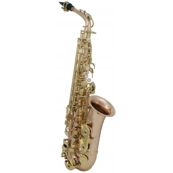 PURE GEWA Saxophone Alto Mib Roy Benson AS202G