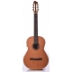 GODIN NYLON Concert QIT