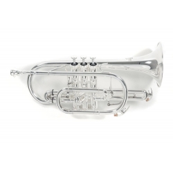 PURE GEWA Cornet Sib Roy Benson CR-302S