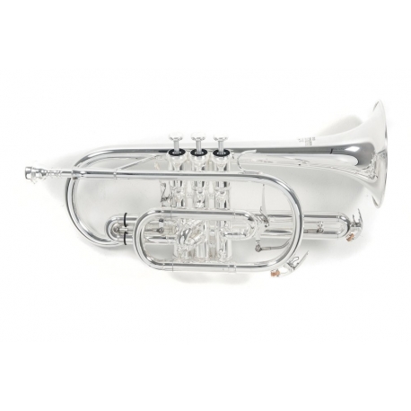 PURE GEWA Cornet Sib Roy Benson CR-302S