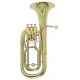 PURE GEWA Baryton Sib Roy Benson BH-301