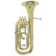 PURE GEWA Baryton Sib Roy Benson BH-302