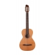 GODIN NYLON Motif QIT
