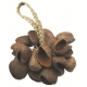 TOCA Shaker Seed Shell