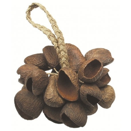 TOCA Shaker Seed Shell