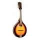 GOLD TONE MANDOLINE DE TYPE A+HOUSSE