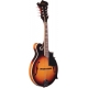 GOLD TONE MANDOLINE TYPE F + ETUI