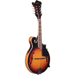 GOLD TONE MANDOLINE TYPE F + ETUI