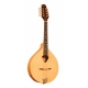 GOLD TONE MANDOLA MASS.EPICA+ETUI