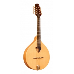 GOLD TONE MANDOLA MASS.EPICA+ETUI