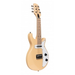 GOLD TONE 6-ST ELEC.MANDOLIN SLD BDY+BAG