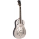 GOLD TONE GUITARE PAUL BEARD METAL BODY
