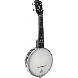 GOLD TONE BANJOLELE CONCERT+HOUSSE
