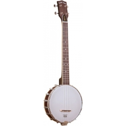 GOLD TONE BANJO UKELELE BARITON+ETUI