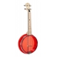 GOLD TONE LITTLE GEM BANJO UKE RUBIS+BAG