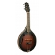 GOLD TONE GT.MANDOLIN.FORM A+HOUSSE