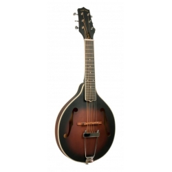 GOLD TONE GT.MANDOLIN.FORM A+HOUSSE