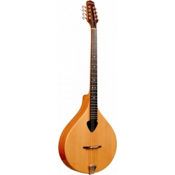 GOLD TONE IRISH BOUZOUKI MANDOLIN+ETUI