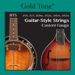 GOLD TONE GUITAR-STYLE BANJITAR STRINGS