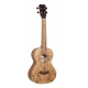 ISLANDER UKULELE TENOR ERABLE FIGURE