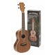 ISLANDER PLANT A TREE CONCRT UKESET+BAG